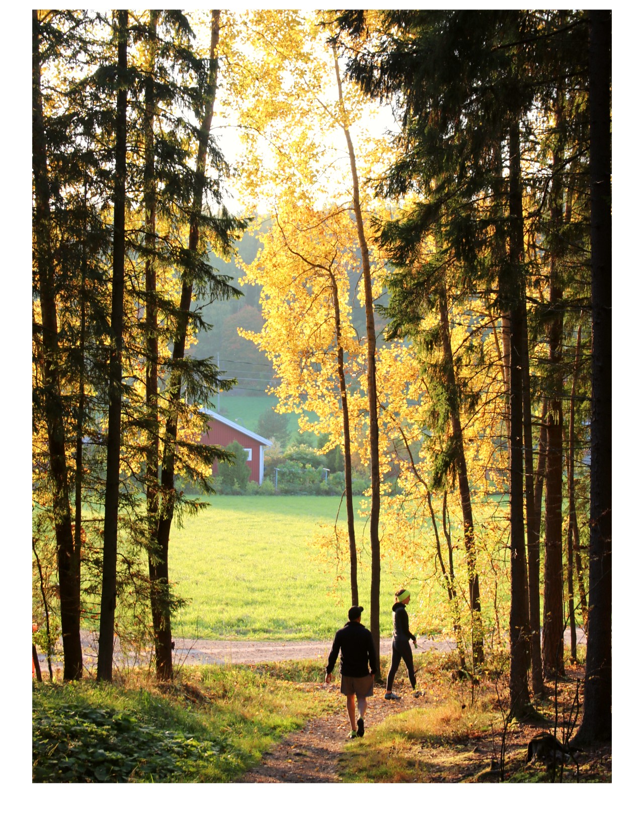 Ulkoilijat Piikkiön Linnavuoren poluilla. Kuva: Tammireitit/Iiris Kallajoki